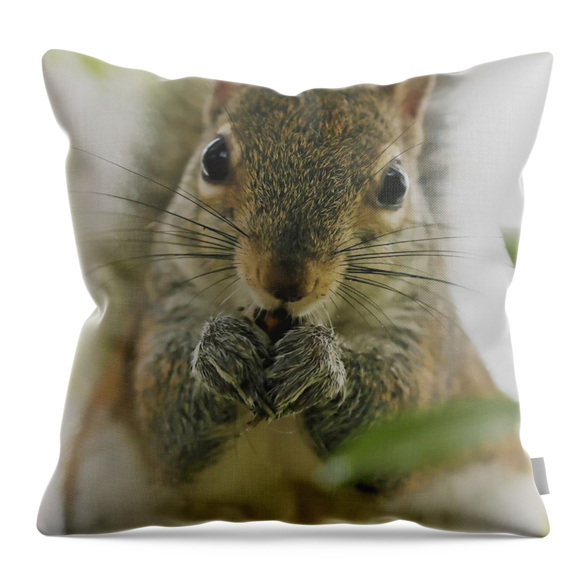 Squirrel Throw Pillow featuring the photograph Portrait of a Squirrel by Mingming Jiang