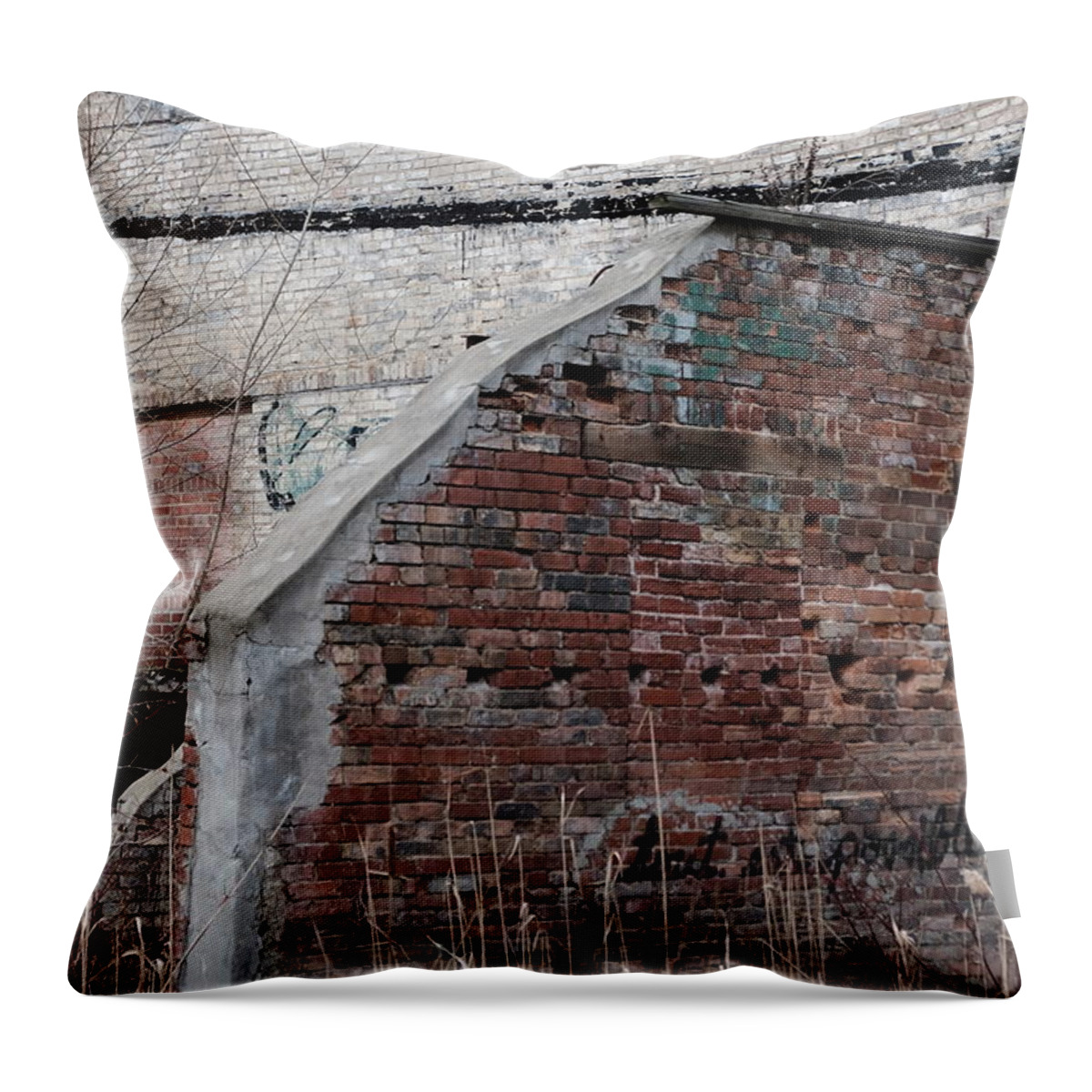 Decay Throw Pillow featuring the photograph Possible by Kreddible Trout