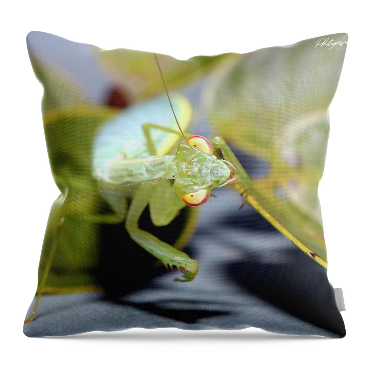 Praying Mantis Throw Pillow featuring the digital art Praymantis 71 by Kevin Chippindall