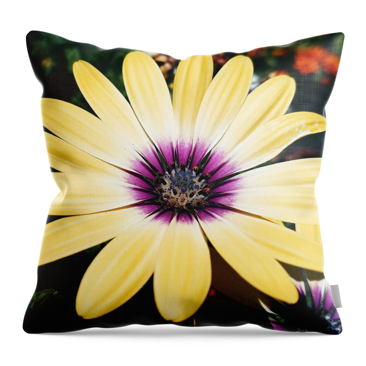 Flower Throw Pillow featuring the photograph Pretty Eyed Flower by Dani McEvoy