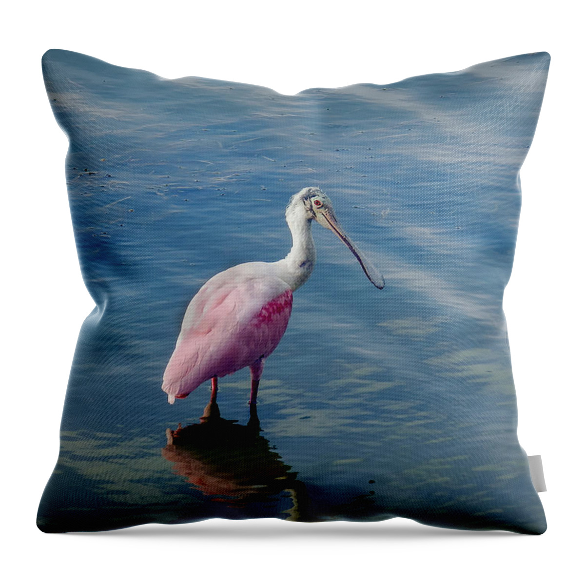 Spoonbill Throw Pillow featuring the photograph Pretty in Pink by Laura Putman