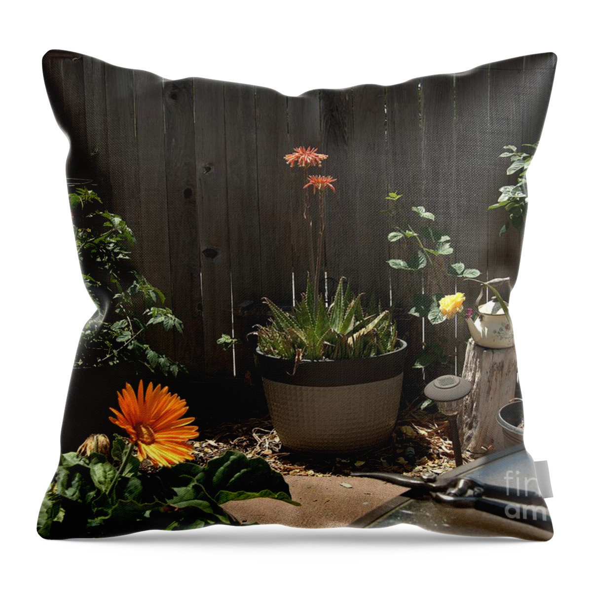 Still Life Throw Pillow featuring the photograph Seize the Day by Richard Thomas