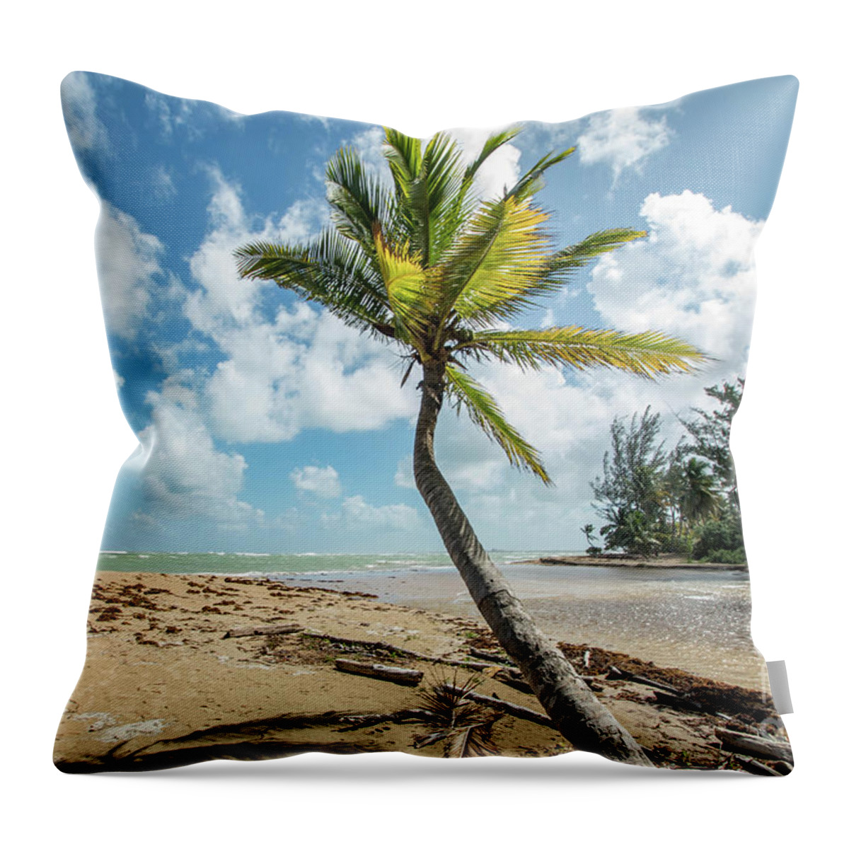 Puerto Throw Pillow featuring the photograph Puerto Rican Paradise, Loiza, Puerto Rico by Beachtown Views