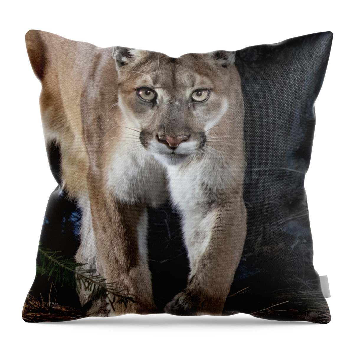 Puma Throw Pillow featuring the photograph Puma Concolor by Randy Robbins
