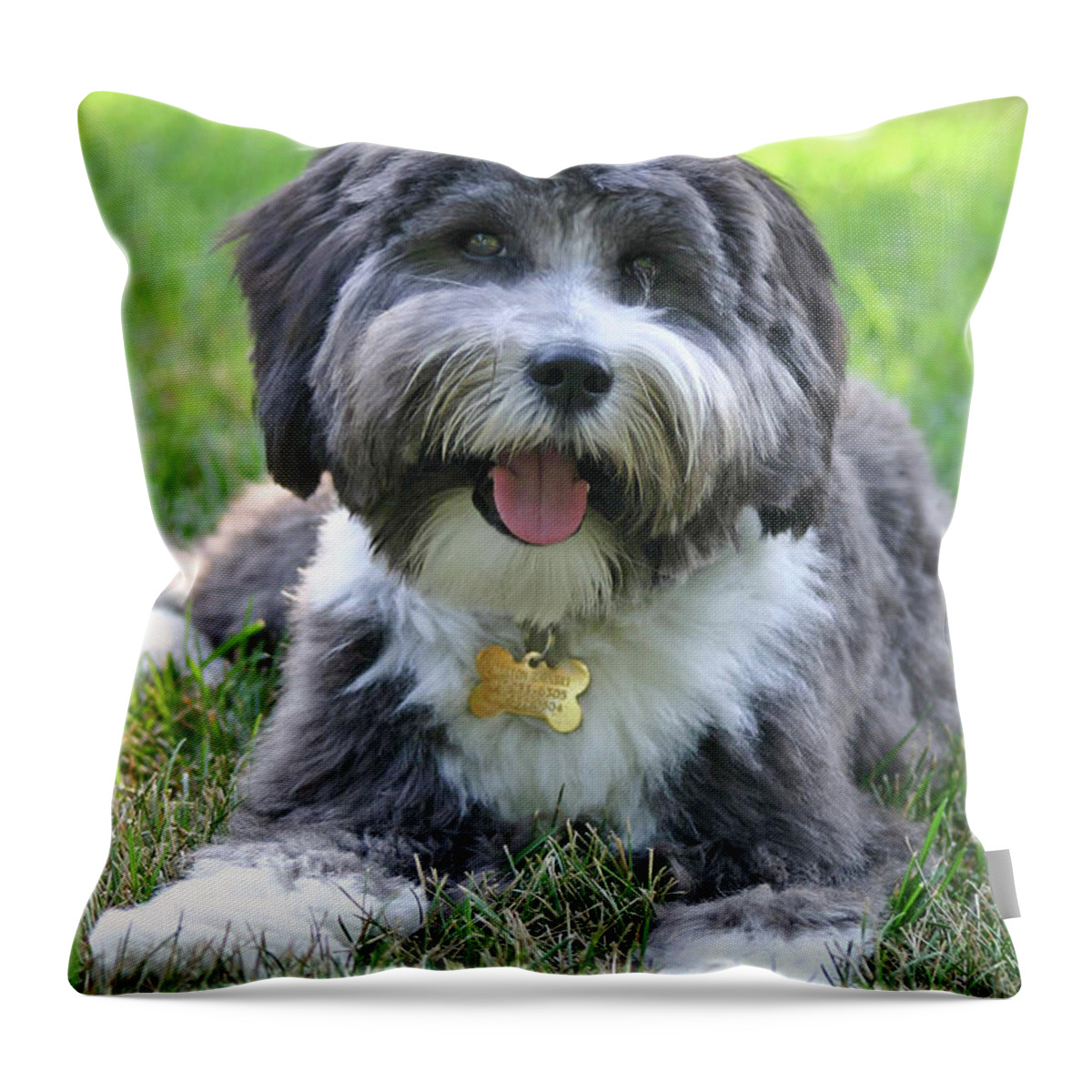 Dog Throw Pillow featuring the photograph Puppy Love by Patty Colabuono