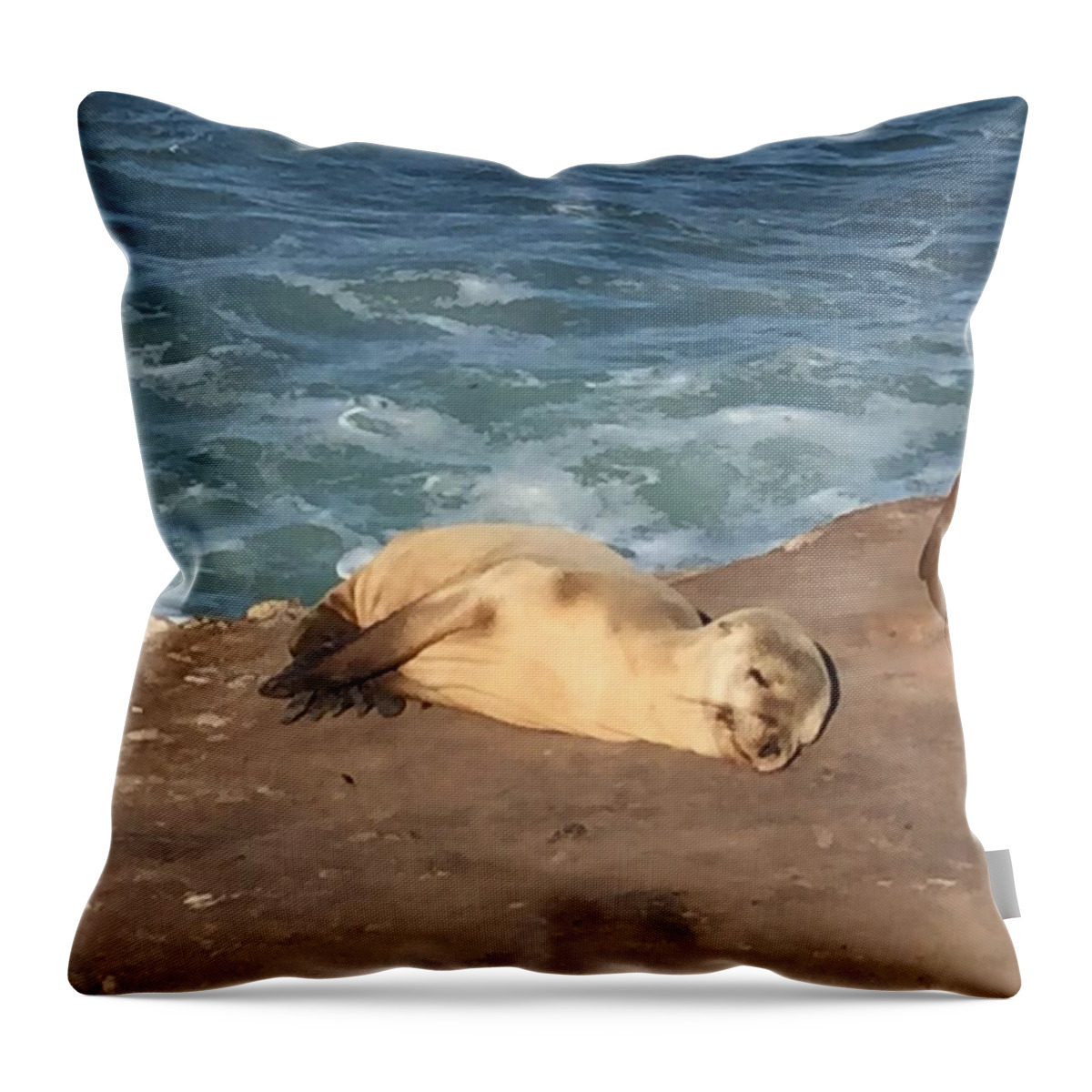 Seal Throw Pillow featuring the photograph Pure Contentment by Lisa White