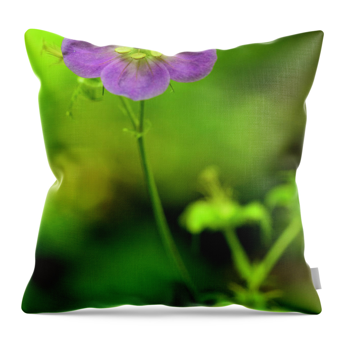Blue Ridge Mountains Throw Pillow featuring the photograph Purple and Green by Melissa Southern