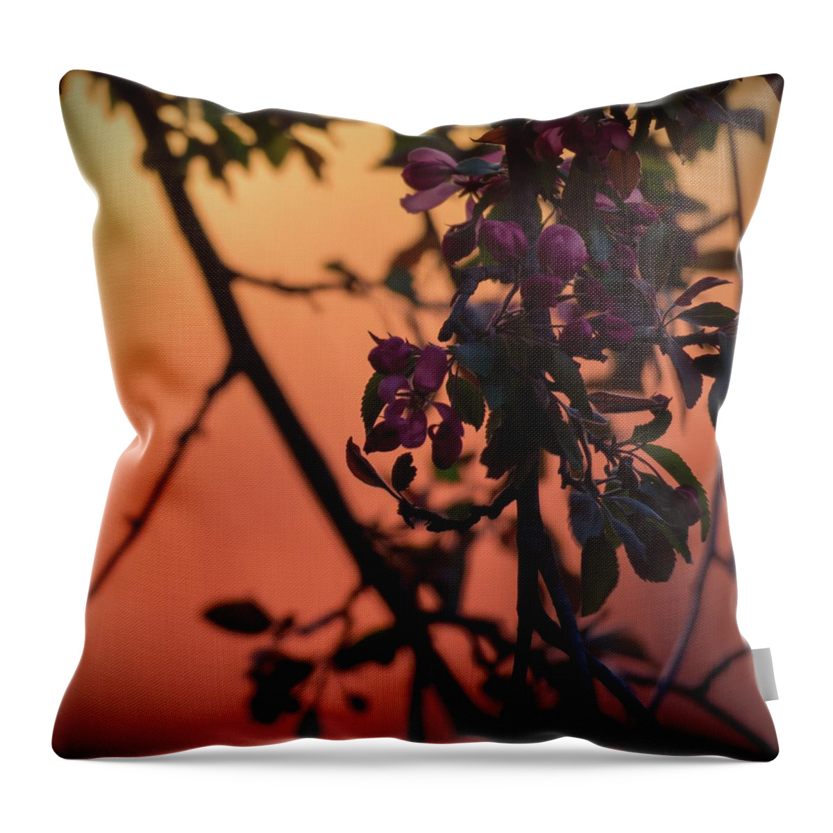 Purple Throw Pillow featuring the photograph Purple Flowering Tree at Sunset by Jason Fink