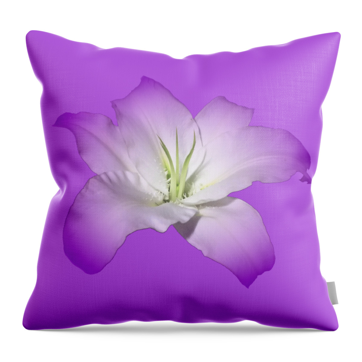 Purple Throw Pillow featuring the photograph Purple Lily Flower by Delynn Addams