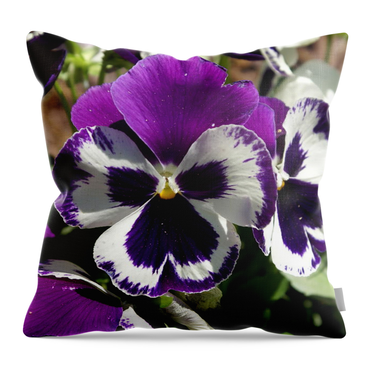  Throw Pillow featuring the photograph Purple Pansy by Heather E Harman