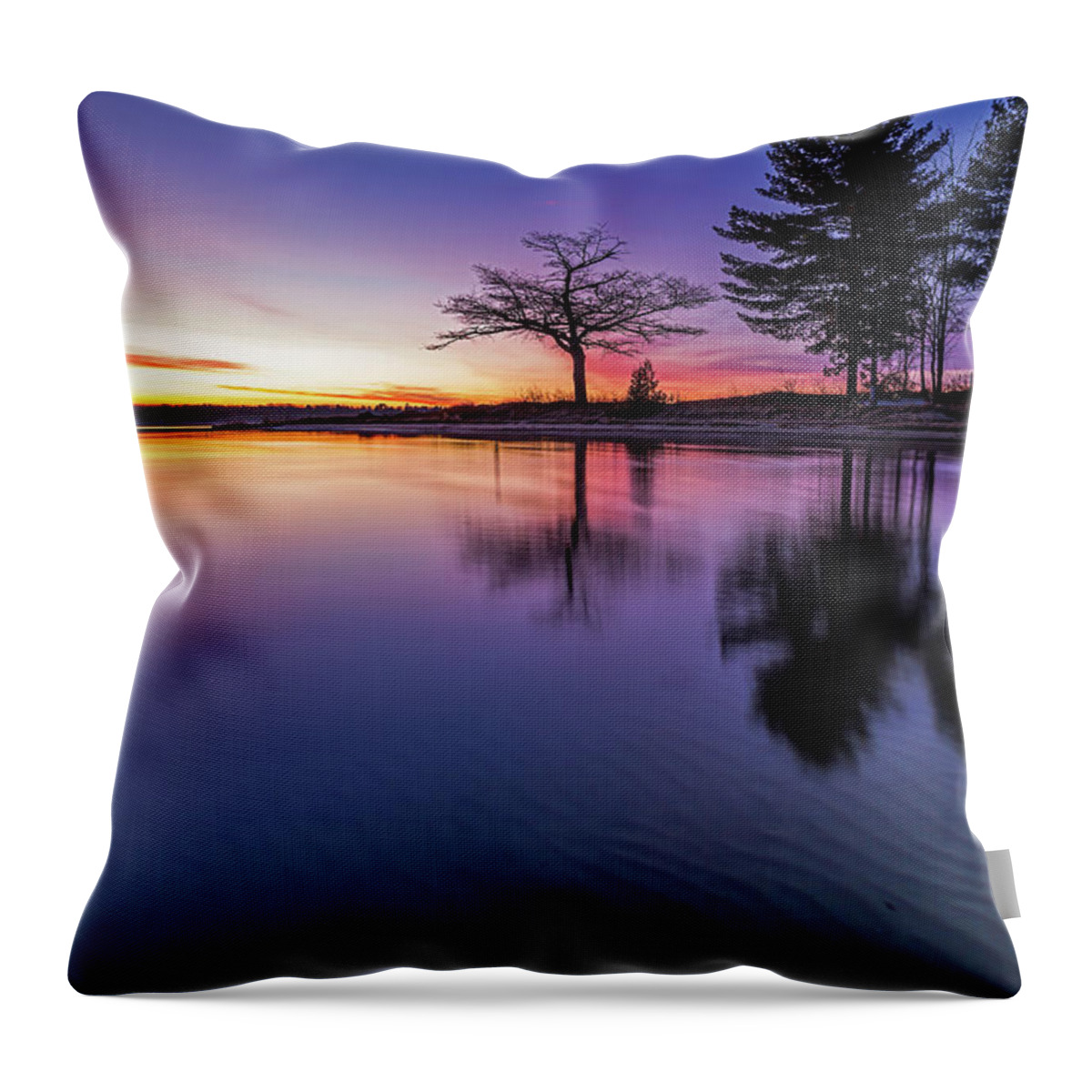 Sand Ripples Throw Pillow featuring the photograph Purple Ripples by Joe Holley
