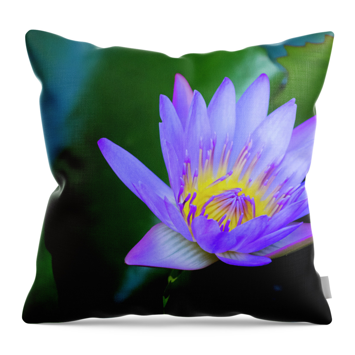 Exotic Flower Throw Pillow featuring the photograph Purple Water Lily by Christi Kraft