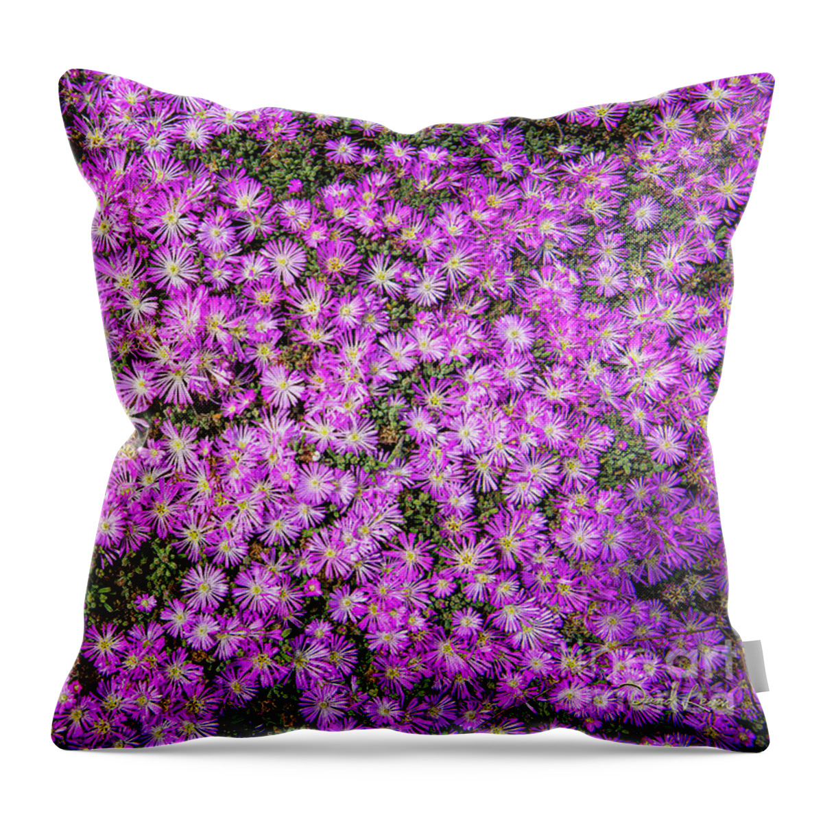 Ca Route 1 Throw Pillow featuring the photograph Purplish Pinkish Blooms by David Levin