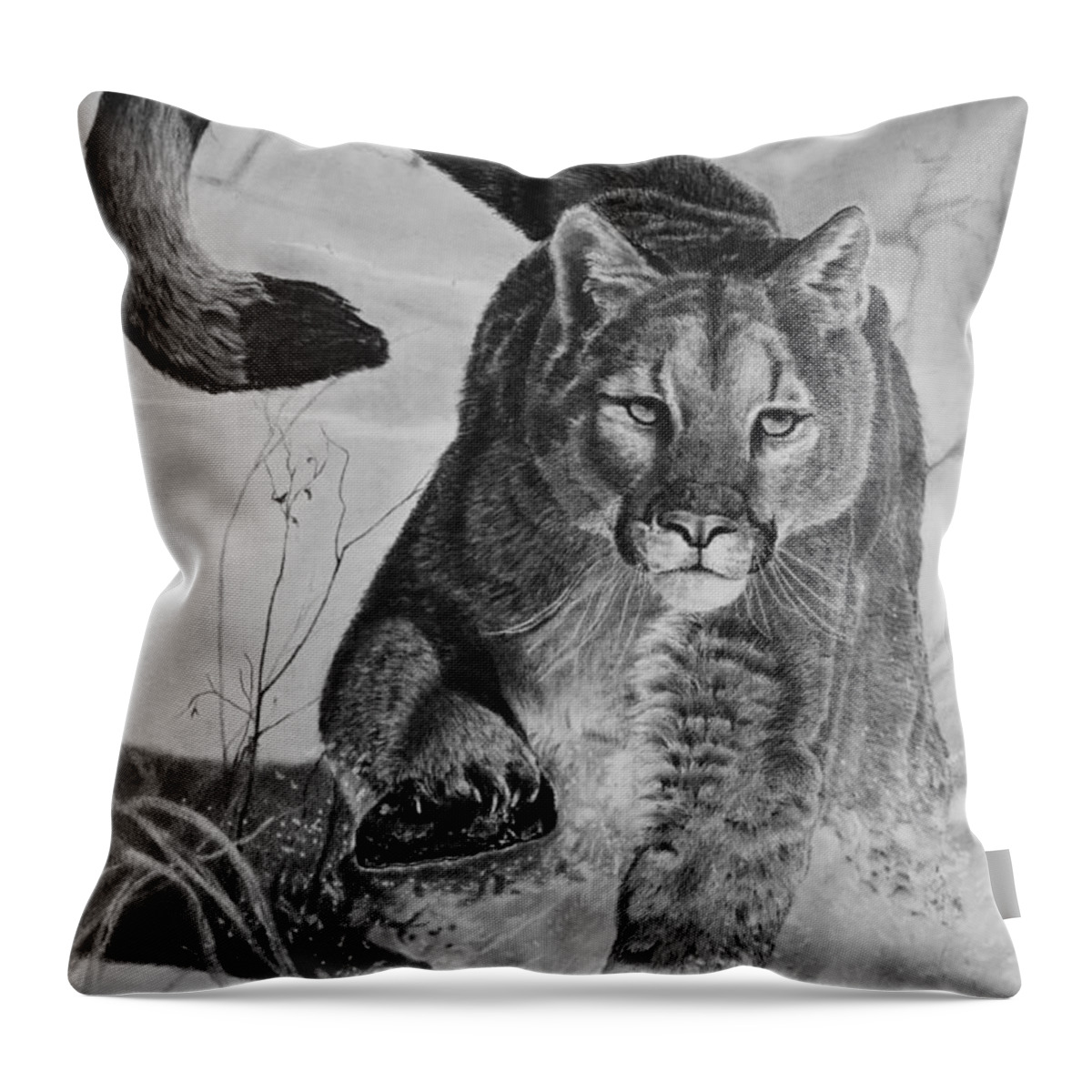 Mountain Lion Throw Pillow featuring the drawing Pursuit by Greg Fox