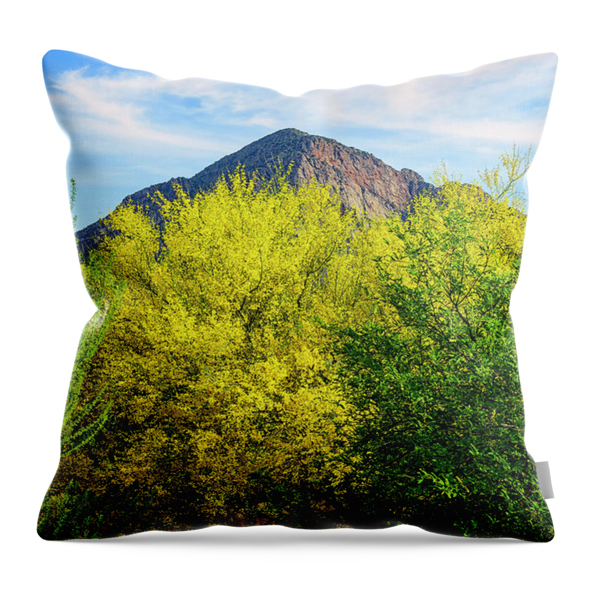 Arizona Throw Pillow featuring the photograph Pusch Peak Spring 25093 by Mark Myhaver