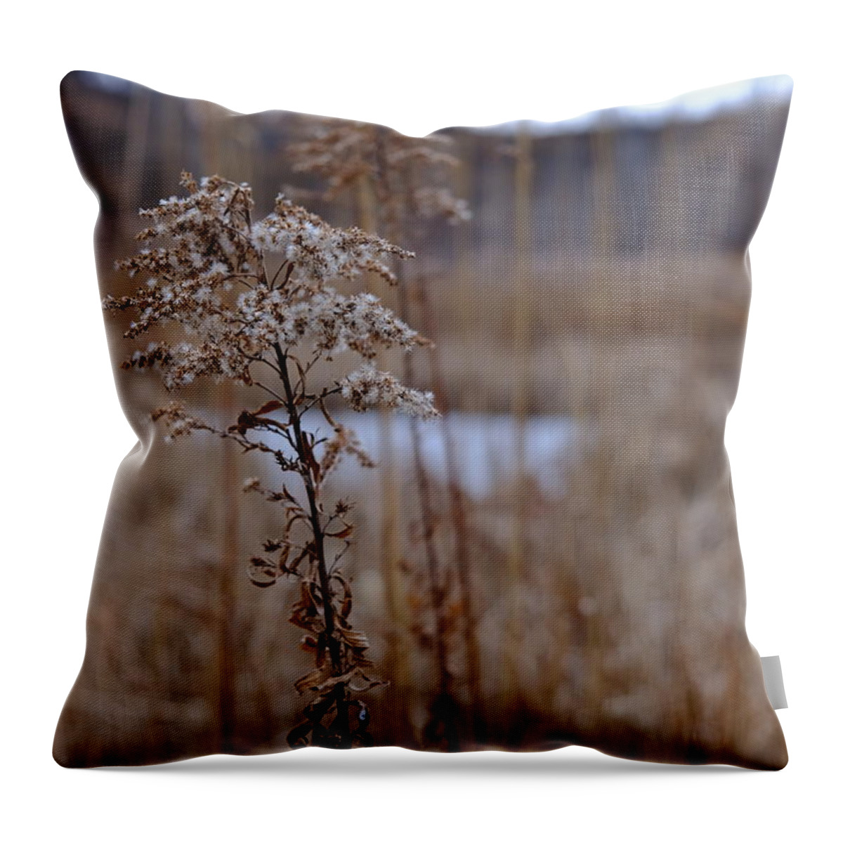 Color Throw Pillow featuring the photograph Quarry Whisp And Pond - Detail by Kreddible Trout