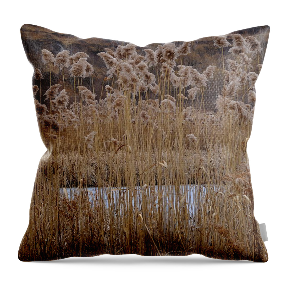 Nature Throw Pillow featuring the photograph Quarry Whisps And Pond by Kreddible Trout