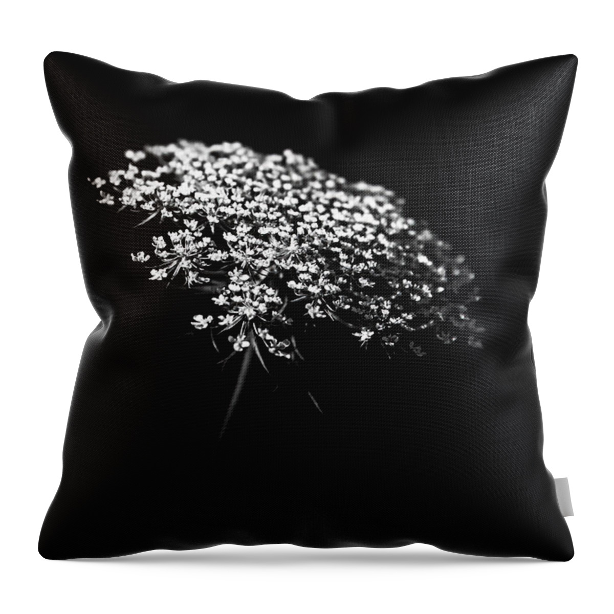 Queen Annes Lace Throw Pillow featuring the photograph Queen Anne's Lace by Holly Ross