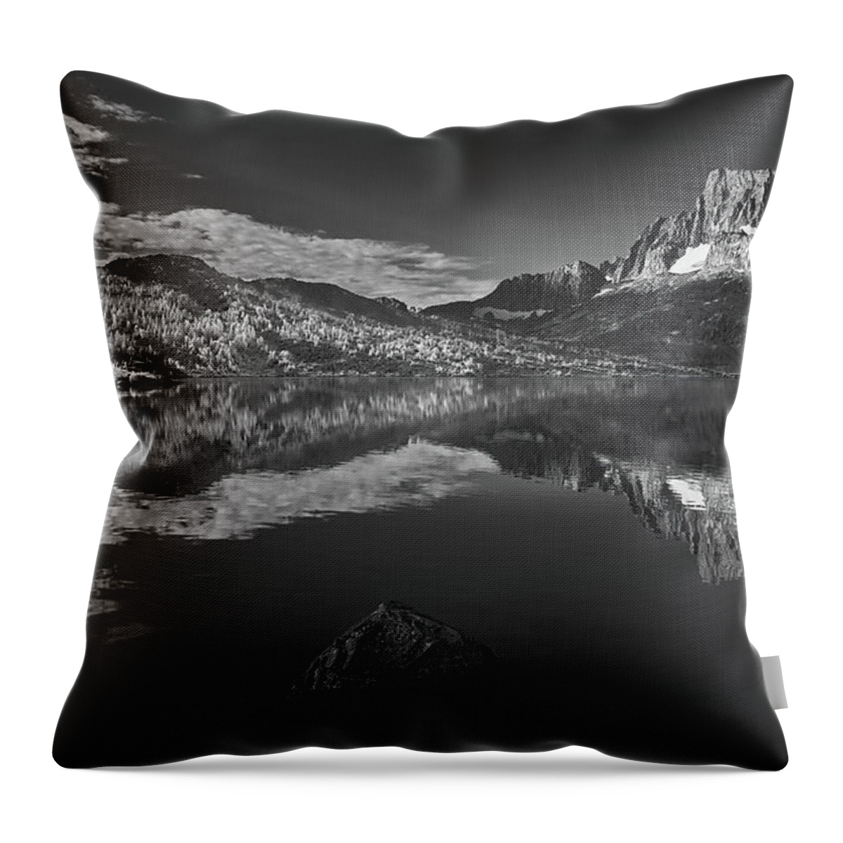  Throw Pillow featuring the photograph Questae by Romeo Victor