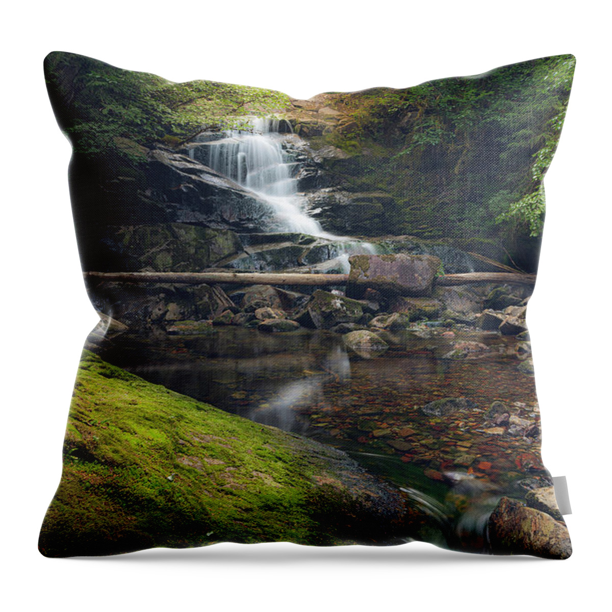 Waterfall Throw Pillow featuring the photograph Quiet Falls 2 by Michael Rauwolf