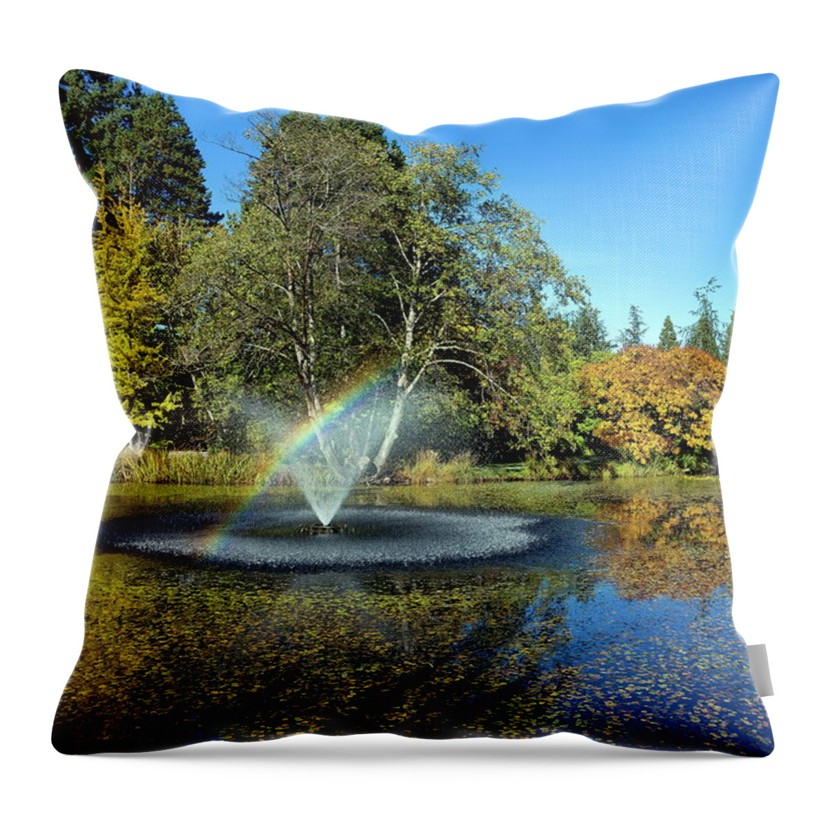 Alex Lyubar Throw Pillow featuring the photograph Rainbow in the fountain by Alex Lyubar