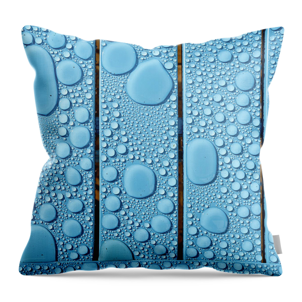 Rain Throw Pillow featuring the photograph Raindrops 1 by Nigel R Bell