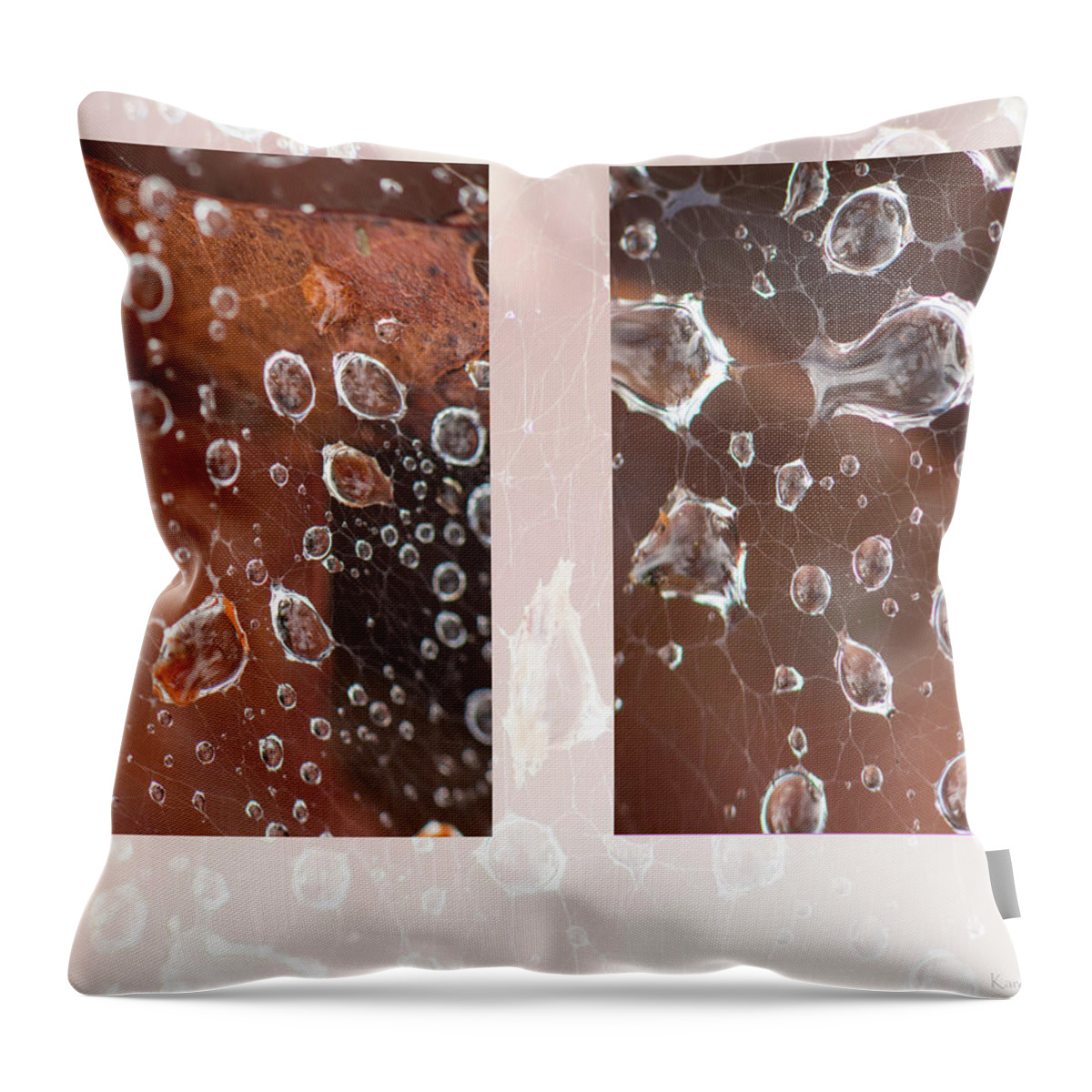 Raindrop Throw Pillow featuring the photograph Raindrops On Web by Karen Rispin
