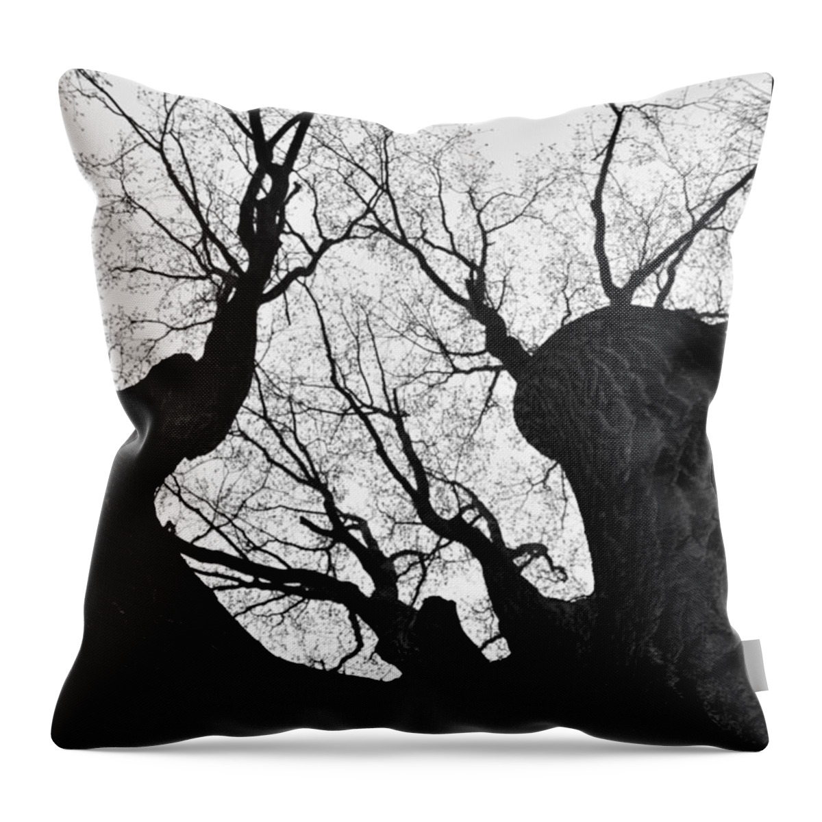 Spring Vibe Throw Pillow featuring the photograph Rainy Spring Day by Stefania Caracciolo