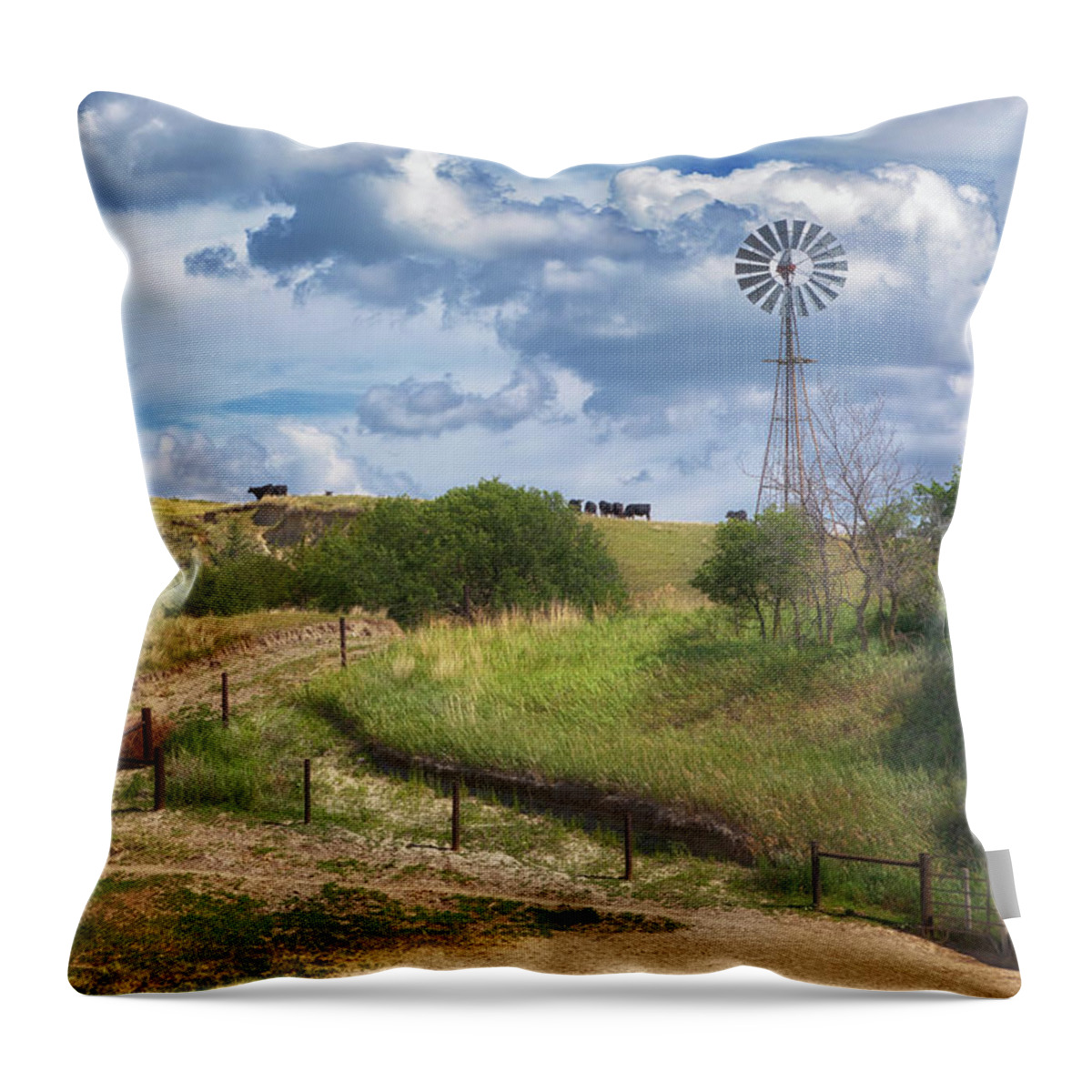 Nebraska Sandhills Throw Pillow featuring the photograph Ranching in the Sandhills by Susan Rissi Tregoning