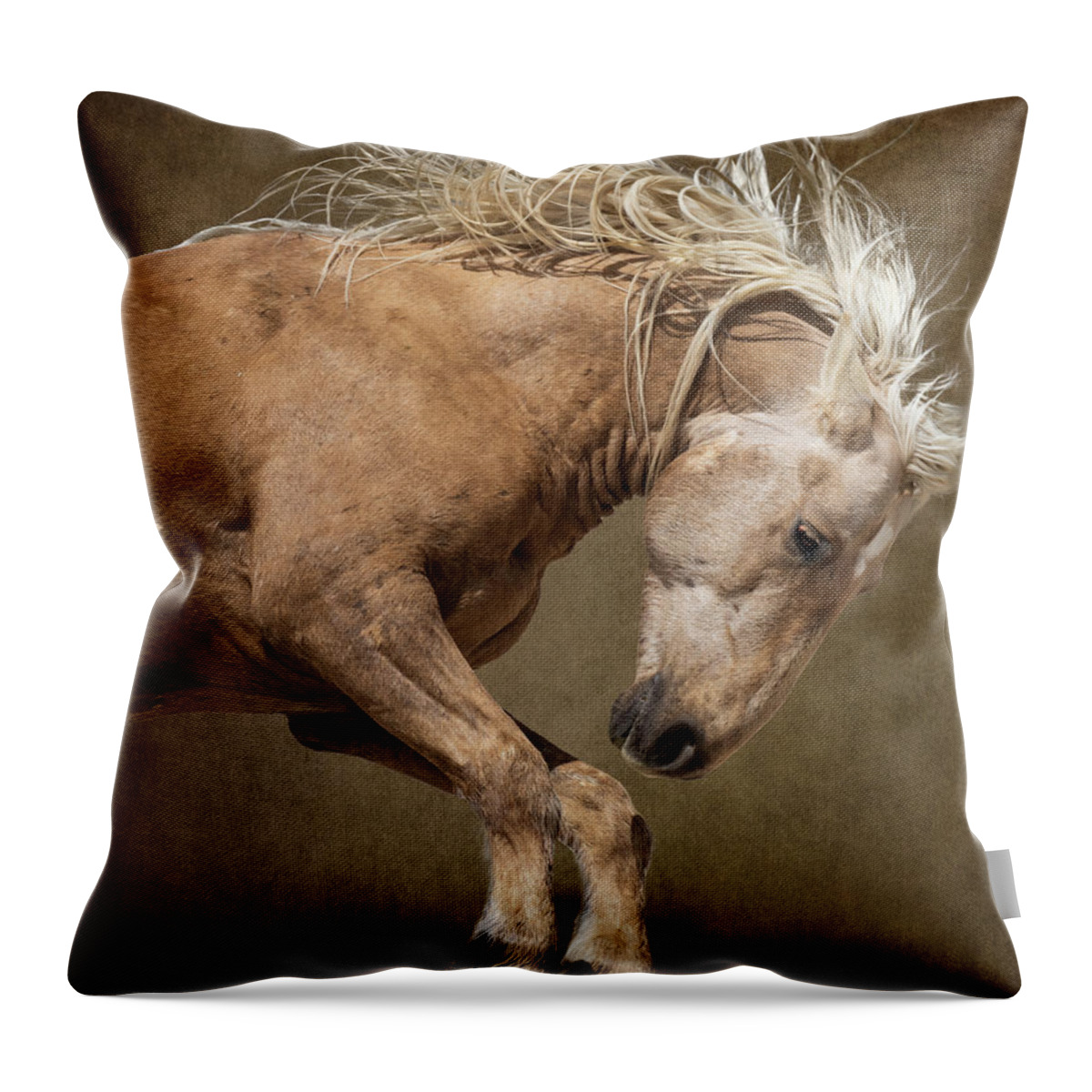 Wild Horses Throw Pillow featuring the photograph Raw Power by Mary Hone