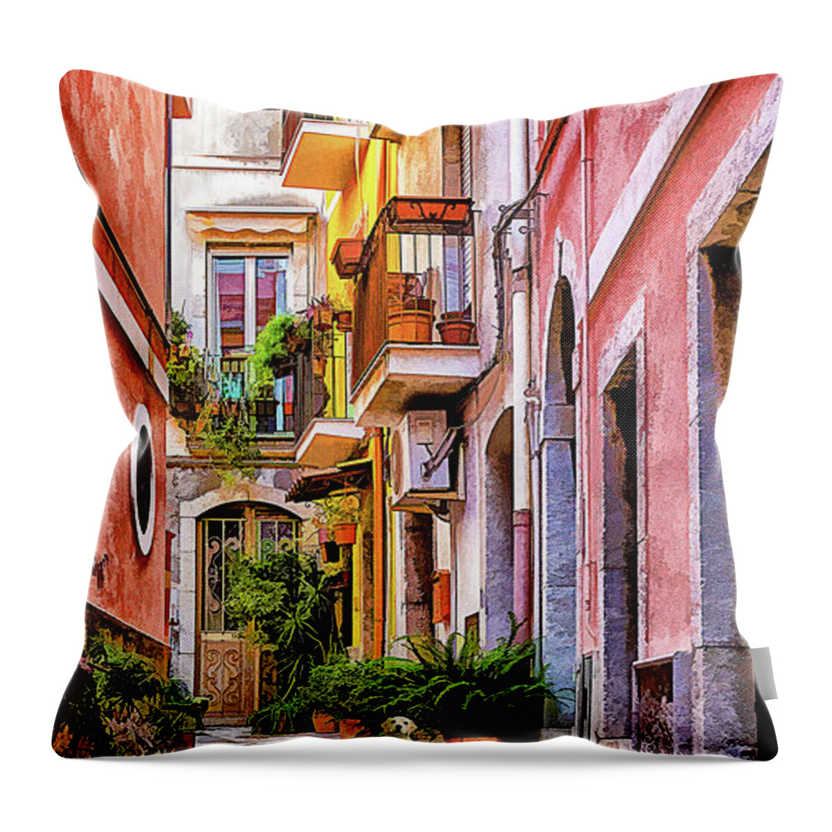 2019 Throw Pillow featuring the photograph Ready for Visitors by Monroe Payne