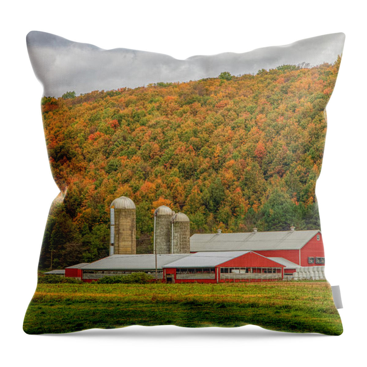 Barn Throw Pillow featuring the photograph Red Barns in Autumn by Rod Best