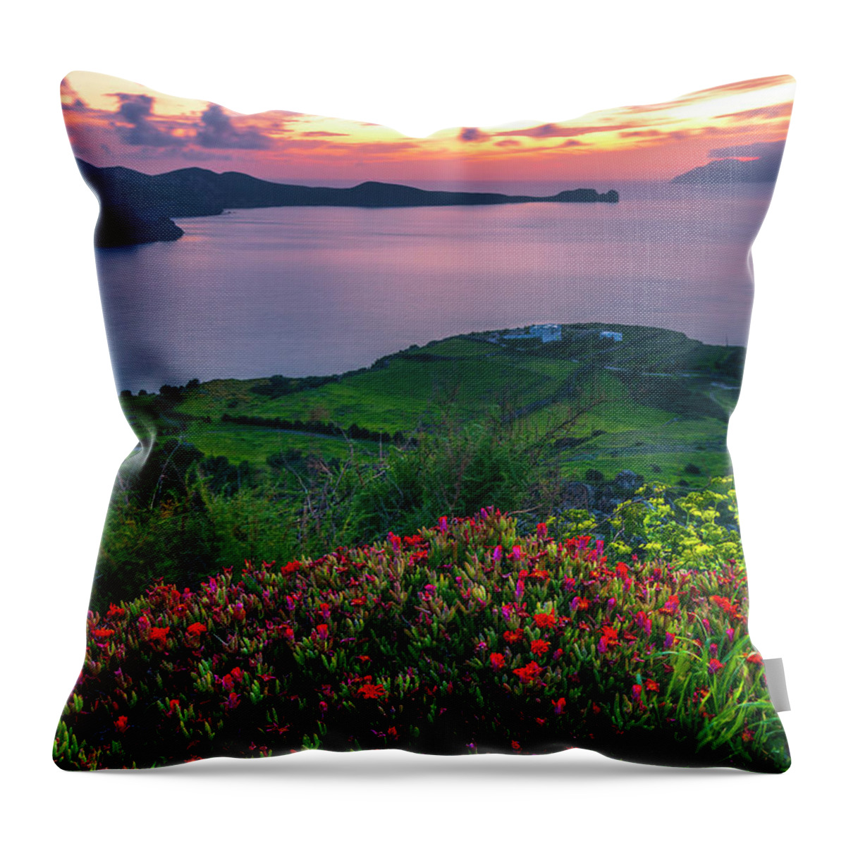 Aegean Sea Throw Pillow featuring the photograph Red Flowers Of Milos by Evgeni Dinev