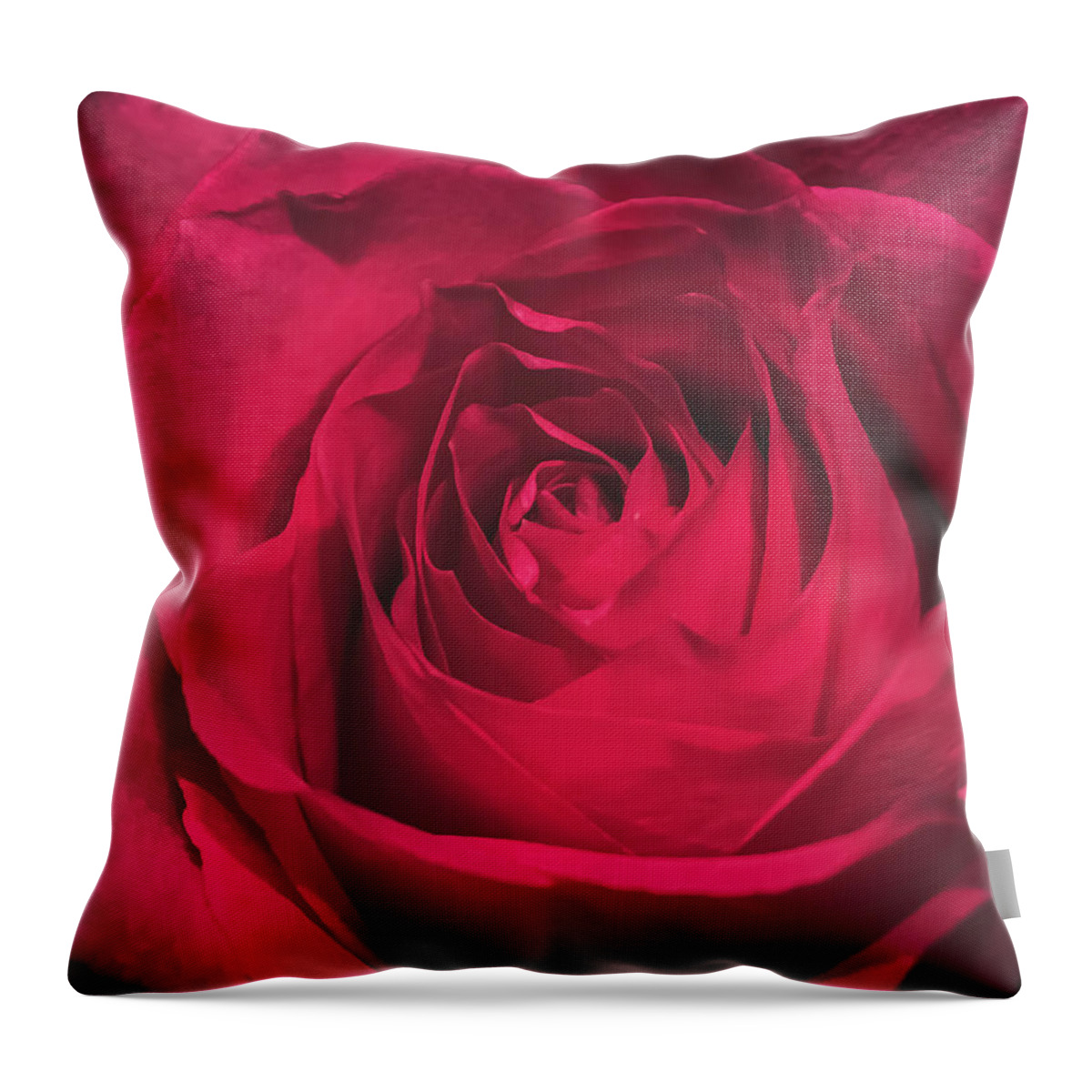 Red Throw Pillow featuring the photograph Red Rose by Anamar Pictures