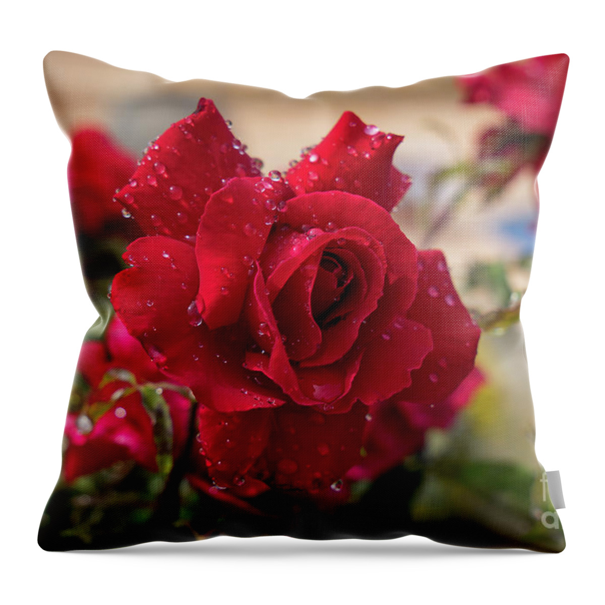 Bloom Throw Pillow featuring the photograph Red rose and sparkling water pearls by the pool by Adriana Mueller