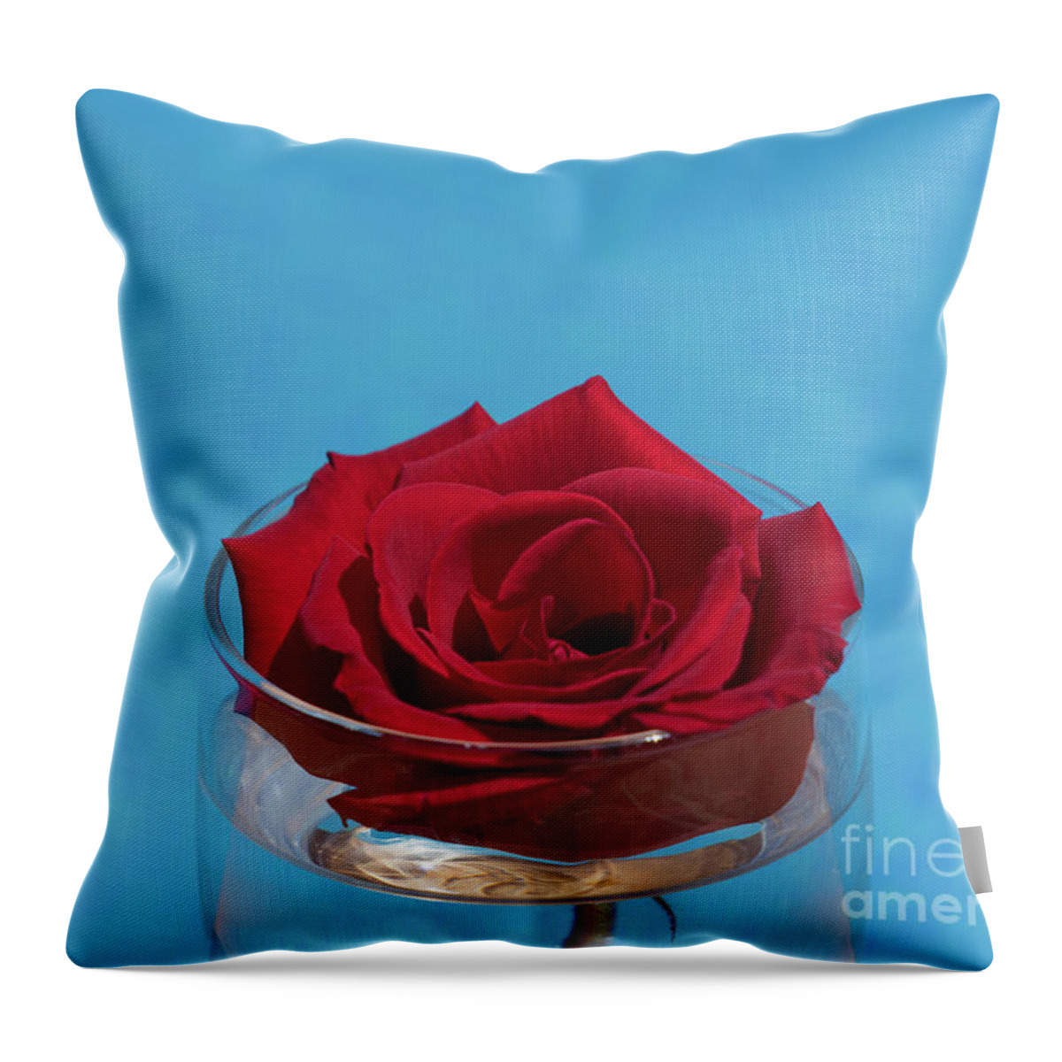 Red Rose Throw Pillow featuring the photograph Red rose blossom and blue water by Adriana Mueller