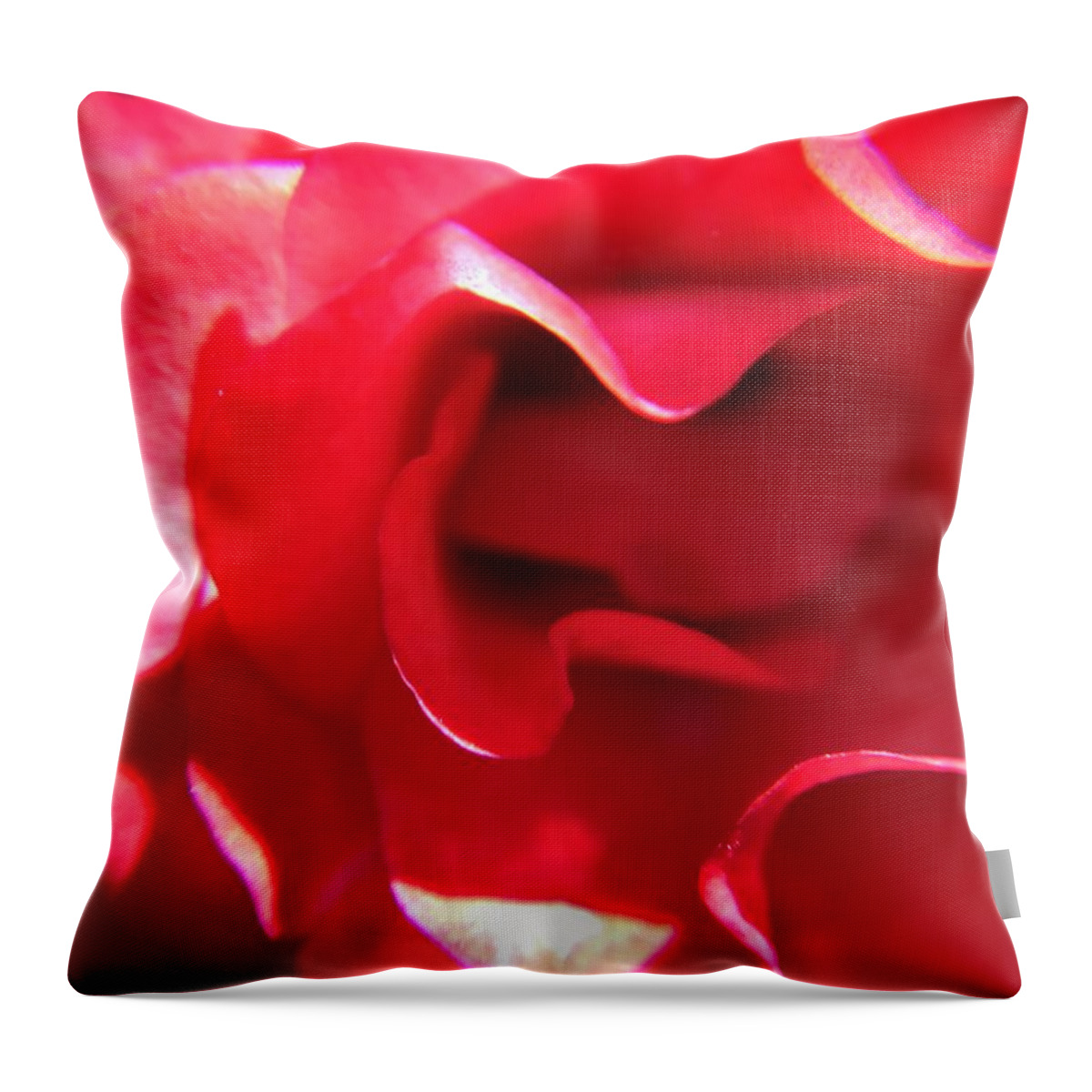 Red Rose Throw Pillow featuring the photograph Red Rose by Vivian Aumond