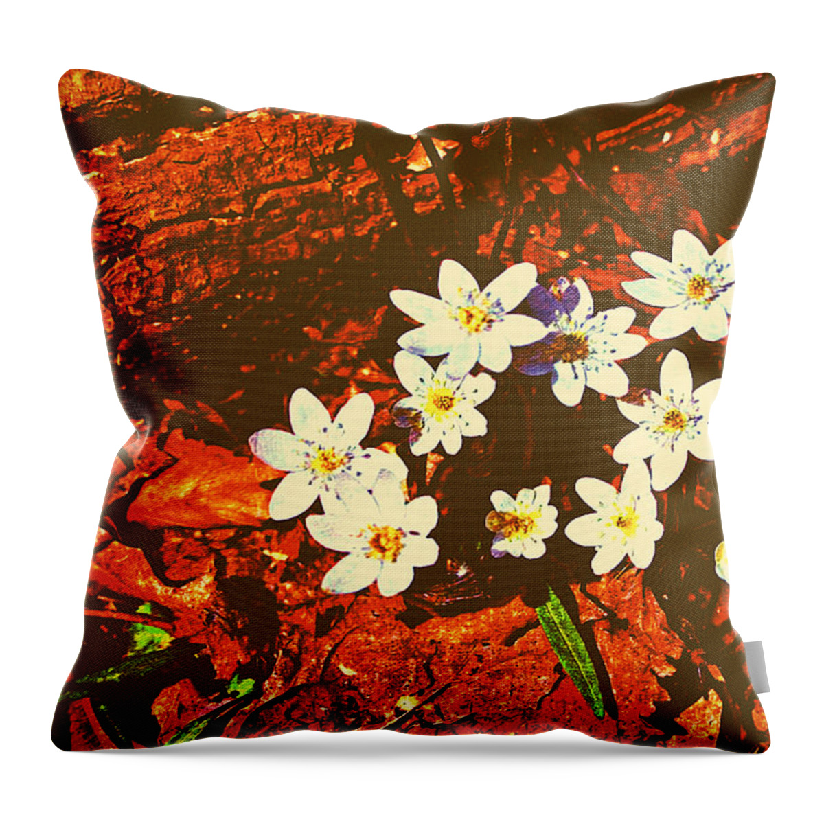 Anemones Throw Pillow featuring the photograph First Wood Anemones of Spring by Stacie Siemsen