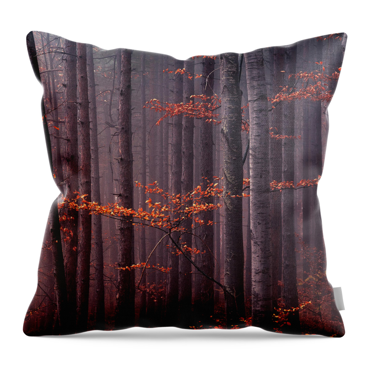 Mountain Throw Pillow featuring the photograph Red Wood by Evgeni Dinev