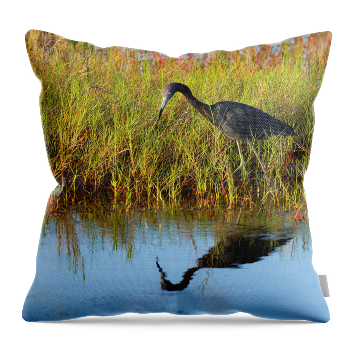 R5-2614 Throw Pillow featuring the photograph Reflecting on Life by Gordon Elwell