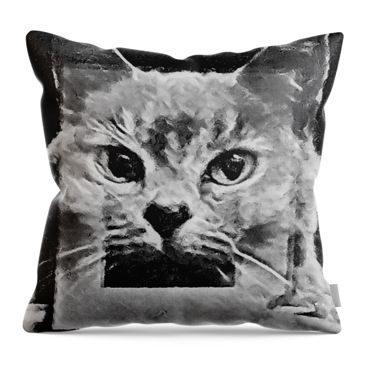 Digital Art Throw Pillow featuring the photograph Reflections by Tracey Lee Cassin