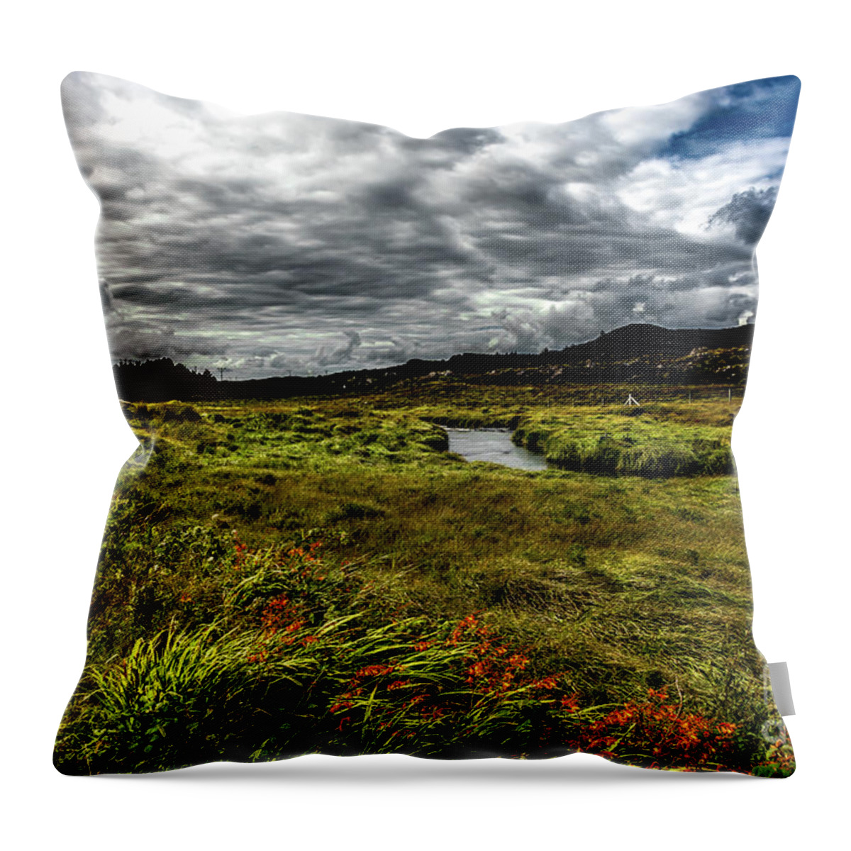 Ireland Throw Pillow featuring the photograph Remote Hut Beneath River in Ireland by Andreas Berthold