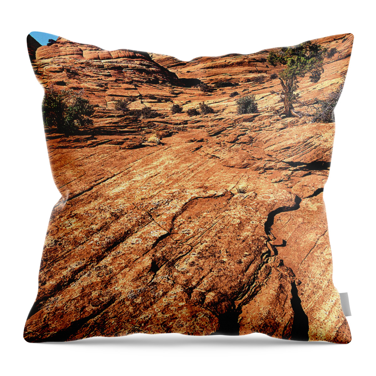 Dave Welling Throw Pillow featuring the photograph Remote Sandstone Formations Paria Canyon Utah by Dave Welling