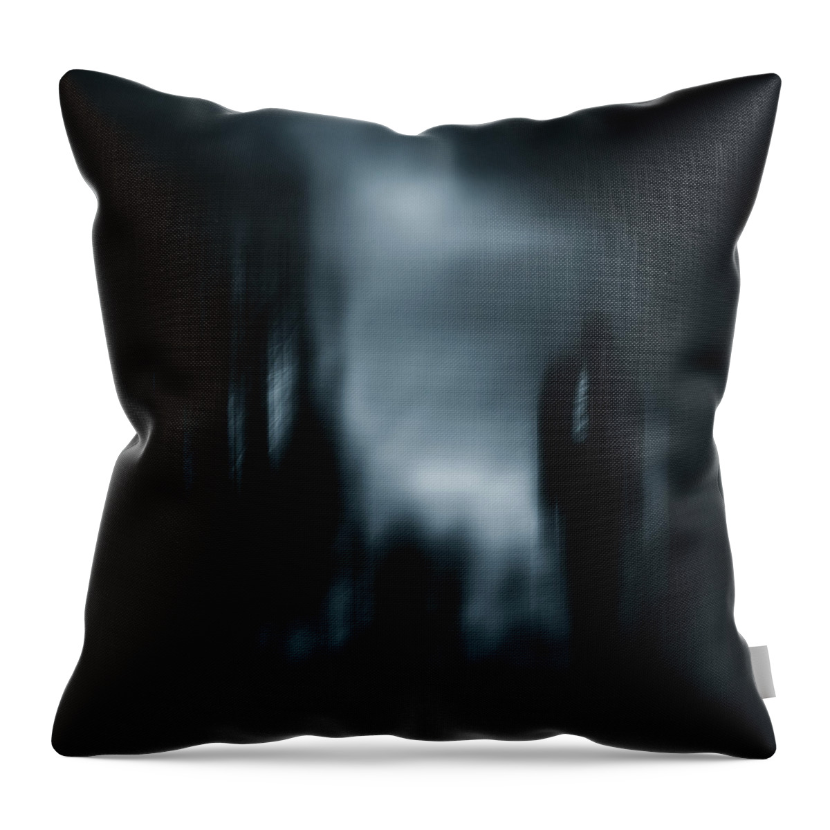 Monochrome Throw Pillow featuring the photograph Return to the Light by Grant Galbraith