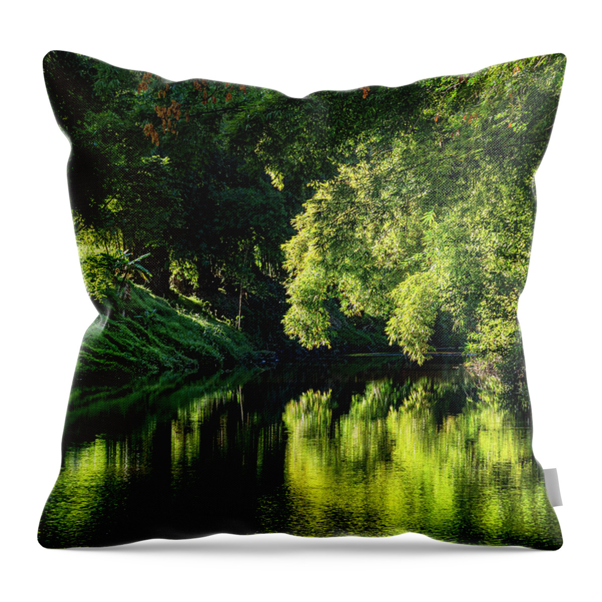 La Reunion Throw Pillow featuring the photograph Reunion island - Sainte Suzanne river at sunrise by Olivier Parent