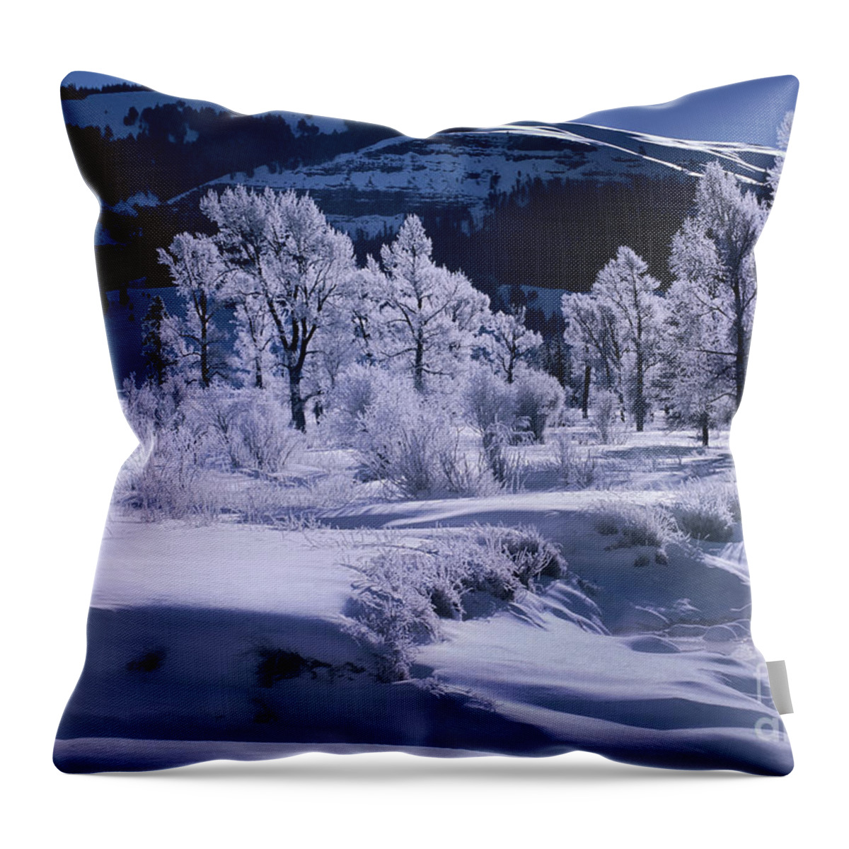 Dave Welling Throw Pillow featuring the photograph Rime Ice On Trees Lamar Valley Yellowstone National Park by Dave Welling