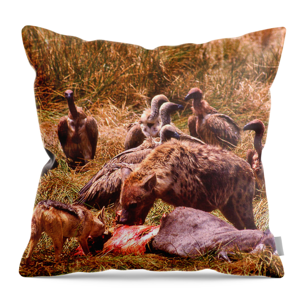 Africa Throw Pillow featuring the photograph Rest In Peace Life Goes On in Africa by Russ Considine
