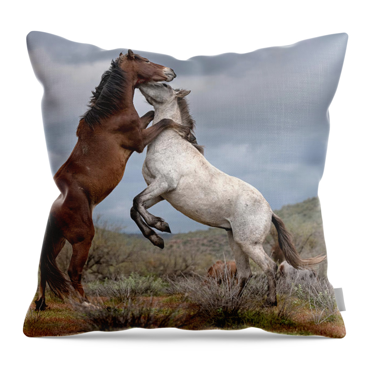  Throw Pillow featuring the photograph Rising from the Desert. by Paul Martin