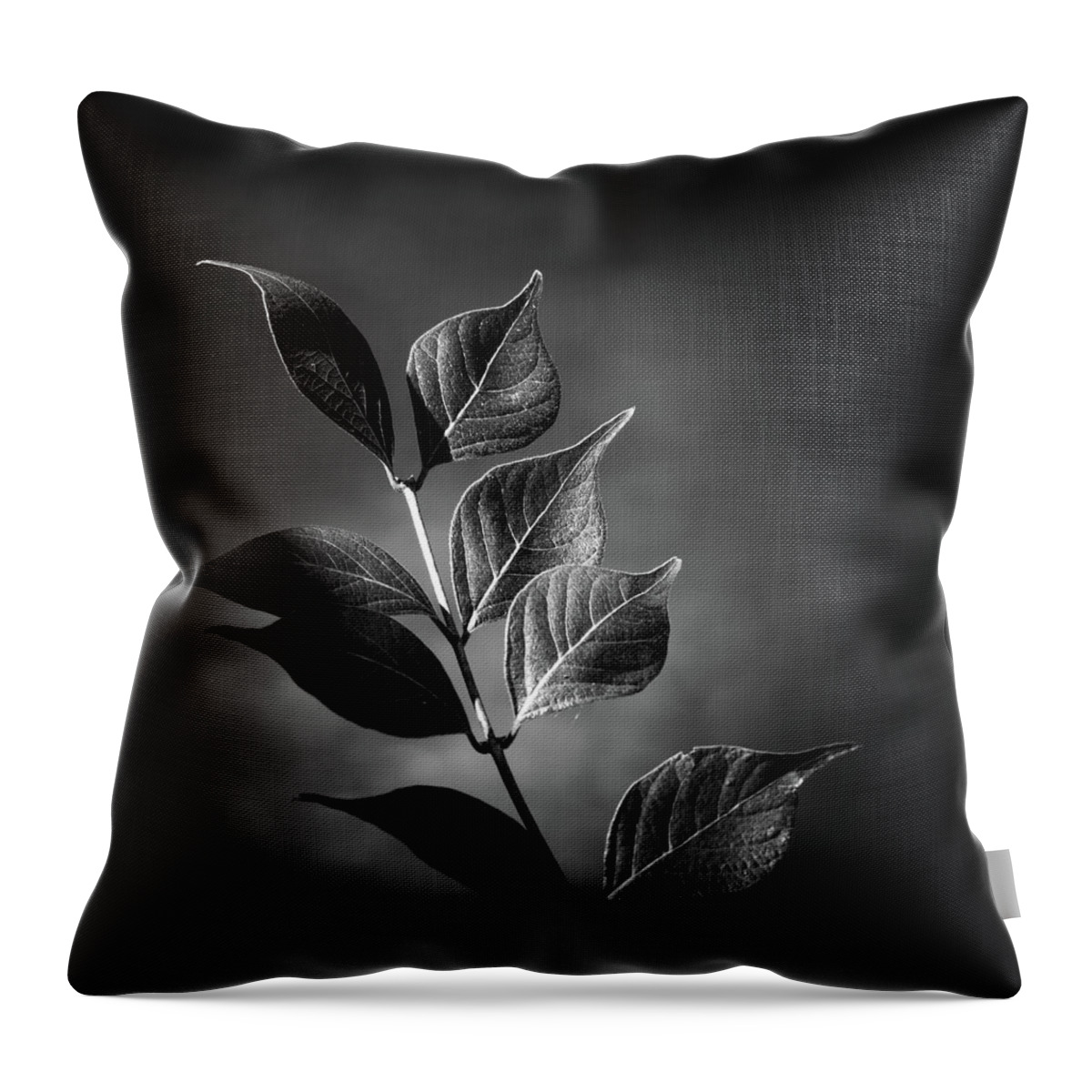 Plant Throw Pillow featuring the photograph River Plant Blades Black and White by Jason Fink