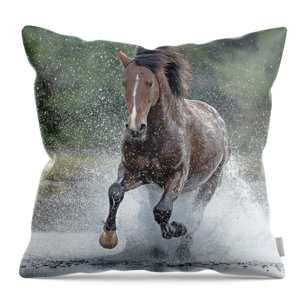 Stallion Throw Pillow featuring the photograph River Run. by Paul Martin